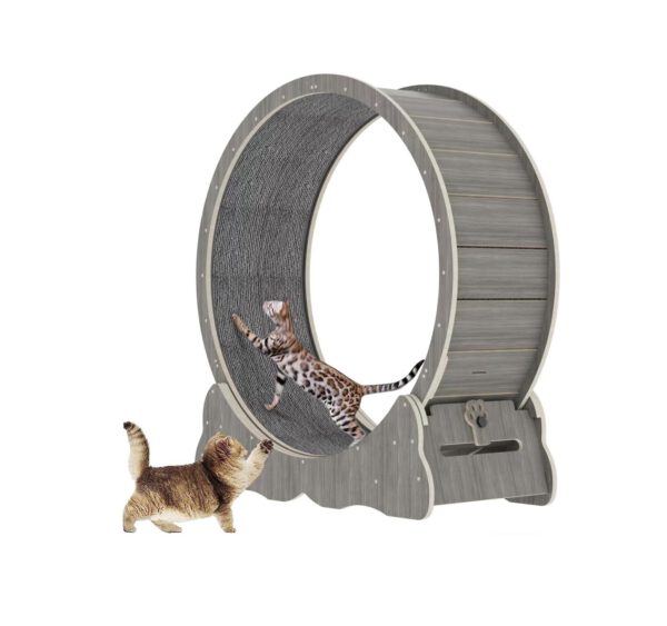 Loopwiel Hout Grijs