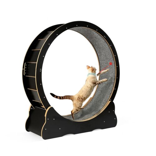 Loopwiel Zwart 1 Loopwiel Hout Zwart XL